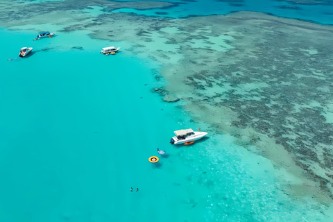 Boottocht naar Bayada of Abu Tair met lunch en leuke activiteitenBoat trip to Bayada or Abu Tair with lunch &amp; fun activities