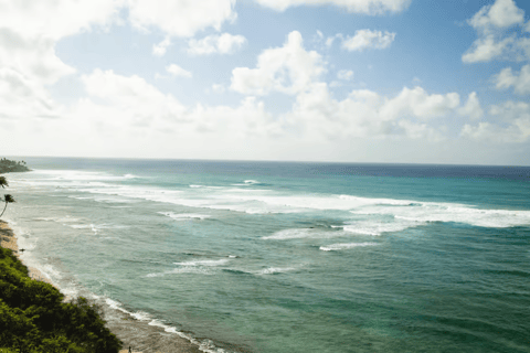 Oahu: Shared Circle Island Tour from Waikiki