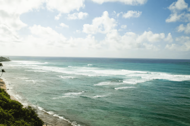 Oahu: Shared Circle Island Tour from Waikiki