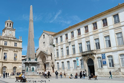 Arles Roman jewel & Provence wildlife
