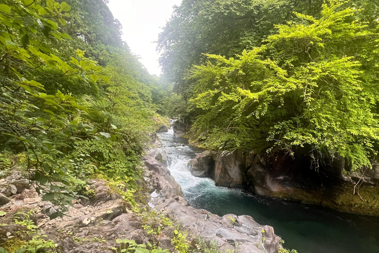 Nikko : visite guidée privée en voiture avec guide anglais