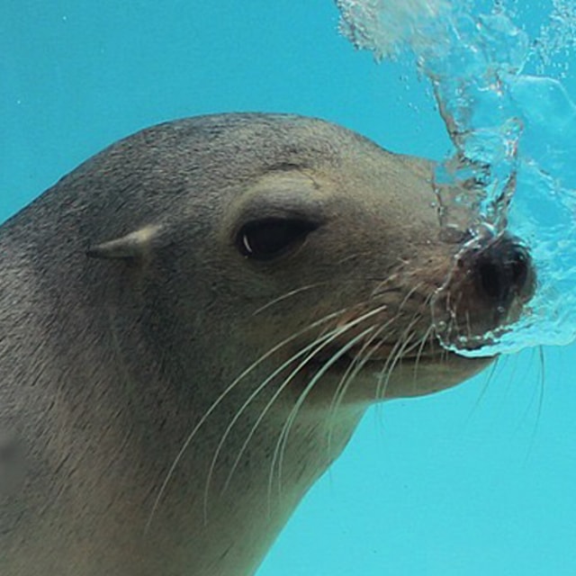 Arona: Entry Ticket to Tenerife's Jungle Park Zoo