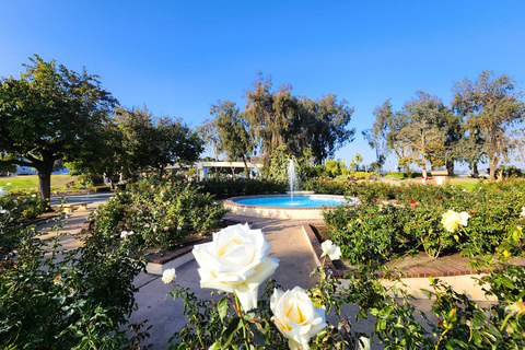 San Diego: A melhor excursão a pé pelo Balboa Park!