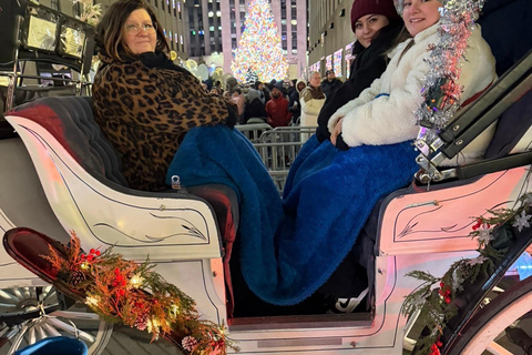NYC: Central Park Christmas Lights Horse-Drawn Carriage Ride