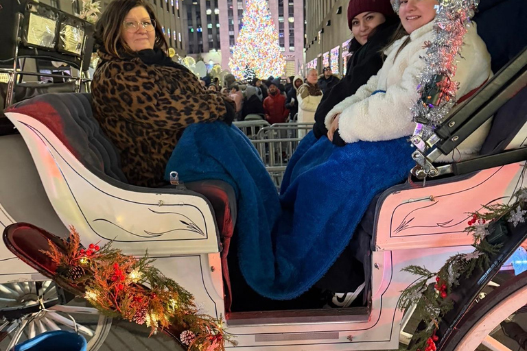 NYC: Central Park Christmas Lights Horse-Drawn Carriage Ride
