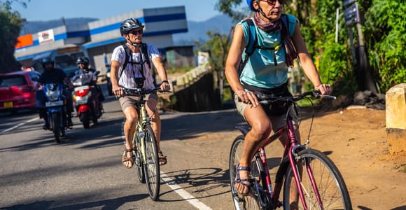 Ella: Tea Plantations and Nine Arch Bridge Cycling Tour