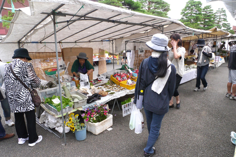 Round Trip Bus Tour from Nagoya to Shirakawa-go or Takayama Nagoya ↔Takayama