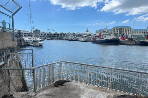 Visite d&#039;une demi-journée à Robben Island avec billets et transferts inclus