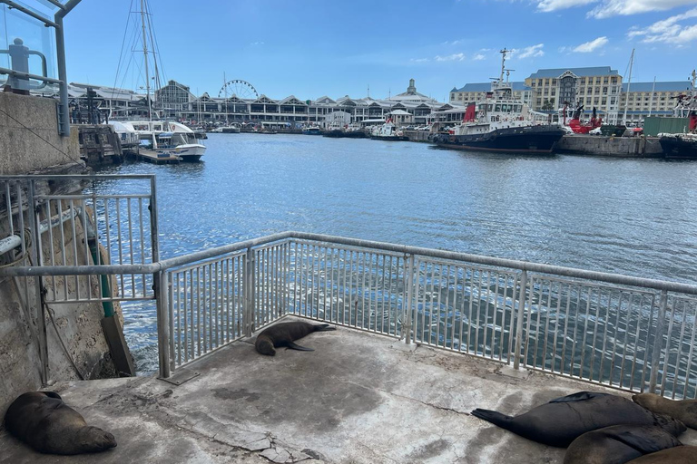 Visite d&#039;une demi-journée à Robben Island avec billets et transferts inclus