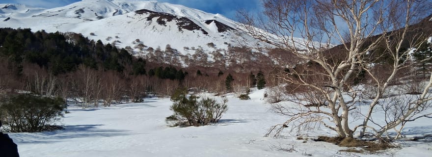 Etna et vin : une expérience entre cratères, paysages volcaniques et saveurs siciliennes.
