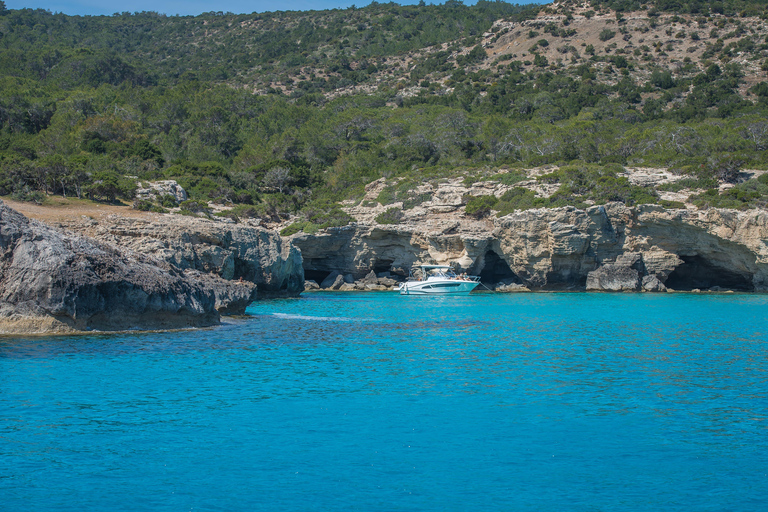 Paphos: Blue Lagoon halve dag boottocht met hoteltransfer