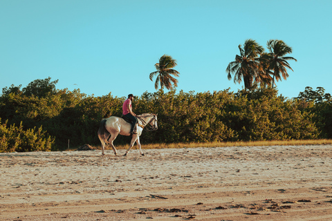 Fiji: Scenic Mountain View Horseback Experience