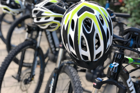 Baden-Baden: Private e-Mountainbike Tour with local Guide