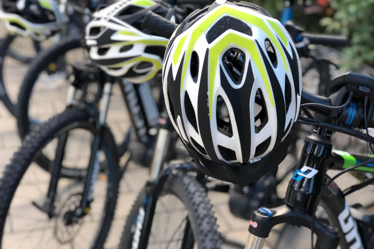 Baden-Baden: Private e-Mountainbike Tour with local Guide