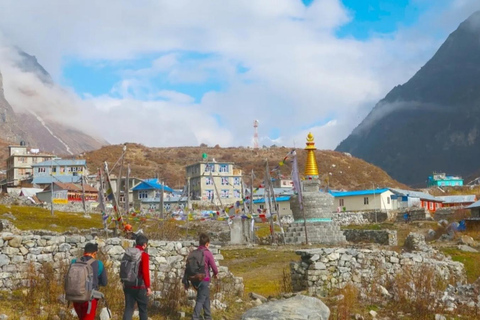 Short & Stunning: 5-Day Langtang Valley Trek from Pokhara