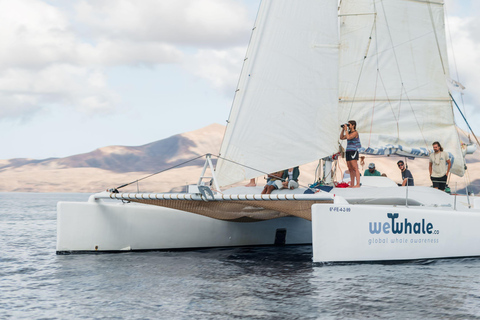 Lanzarote: Observação de baleias e golfinhos em um catamarã ecológico