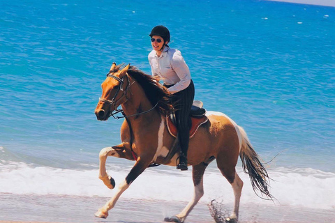 Side: Horseback Riding Adventure with Hotel Pickup