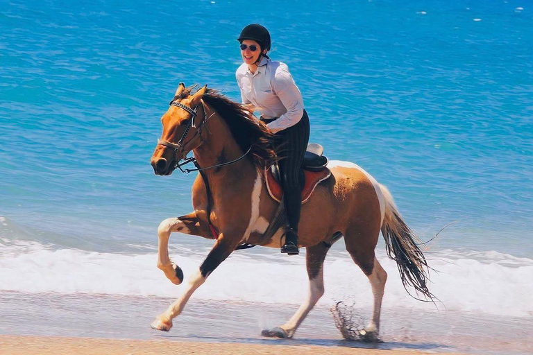 Side: Horseback Riding Adventure with Hotel Pickup
