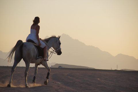 Sea & Desert Horse Riding Tour & Optional Private Photoshoot 2-Hour Horse Ride — Without Transfer (Entry Ticket Only)