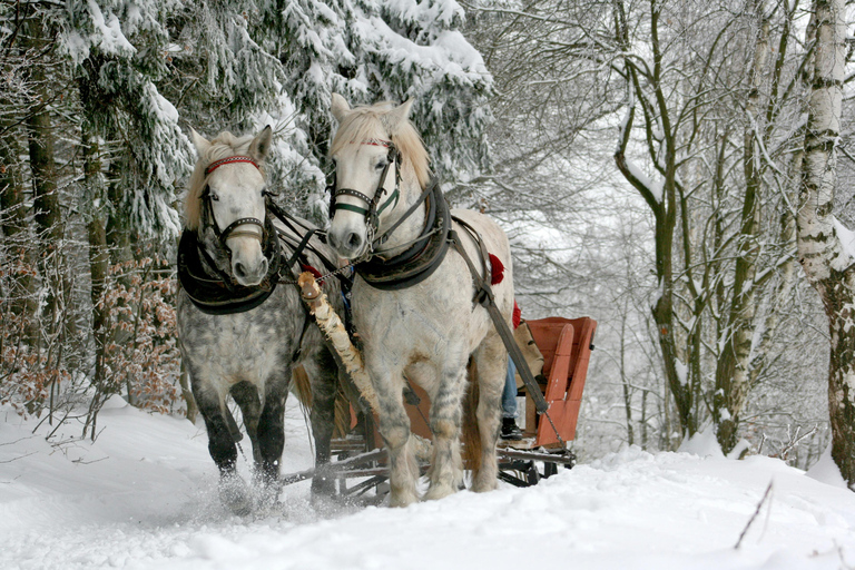 Zakopane: Paardenritten met lokale gids &amp; proeverijWinter: Sneeuw Sleetocht