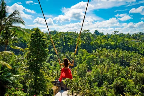Best Bali Full-Day Instagram Highlights Tour