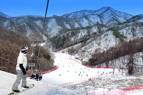 Seoul: Elysian Ski Resort One Day TourDeparting from Hongik Univ. Station Exit 8 - Sled