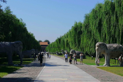 Tour in kleine groep over de Grote Muur en heilige weg van Juyongguan