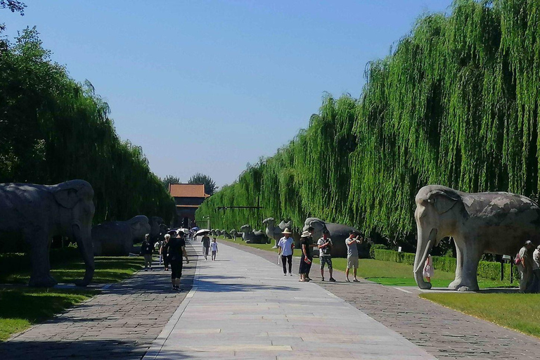 Tour in kleine groep over de Grote Muur en heilige weg van Juyongguan