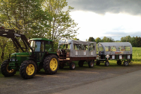 Stuttgart : balade en traîneau d&#039;hiver en charretteStuttgart : balade en charrette couverte