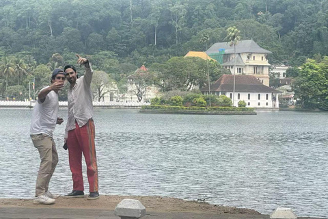 From Colombo/Negombo: Kandy ,Pinnawala ,Tea Factory Day Tour