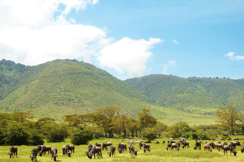 Zanzibar : Safari de 2 jours dans le parc national de Mikumi avec vols