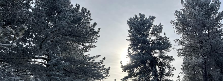 Oulan-Bator : randonnée sur la montagne Bogd Khan avec visite du monastère