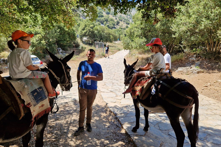 Malia: Lasithi Plateau Zeus Cave Guided TourMalia: Laisithi Plateau Zeus Cave Guided Tour