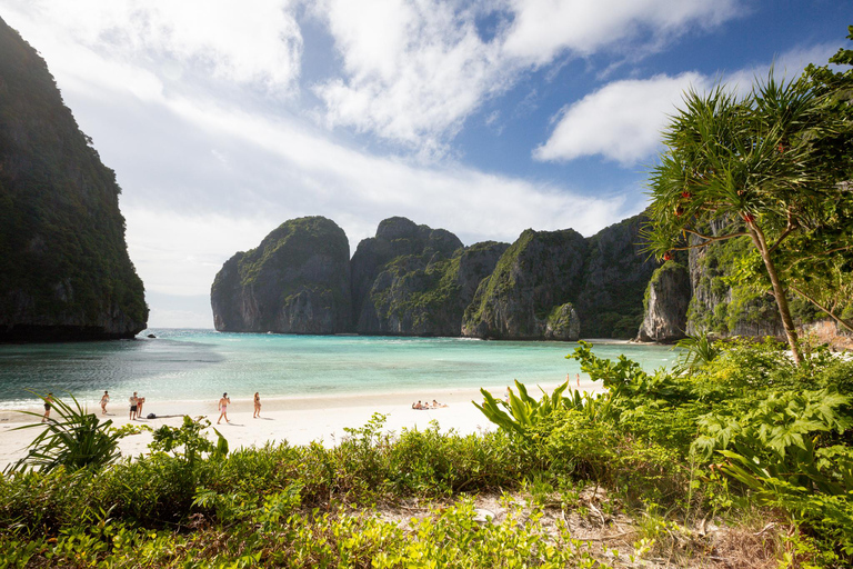 Phi Phi: wycieczka na snorkeling w zatoce Maya z Shrakiem łodzią motorową