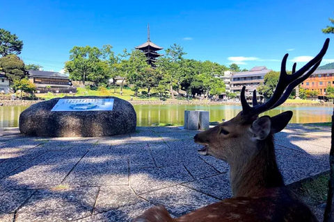 جولة ليوم واحد في نارا وأوجي - التركيز على ثقافة الراحة في كيوتوجولة ليوم واحد في نارا وأوجي - راحة ف
