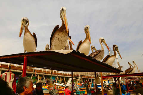 Santiago i Spanien: Valparaiso, Viña del Mar och Casablanca Valley Tour