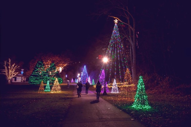 Visit Niagara Christmas Lights Walking Tour & Skylon Tower Ticket in St. Catharines