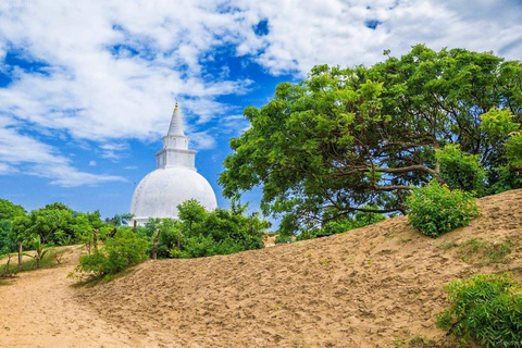 Ella To Arugam Bay Transfer with Temples & Waterfalls & More