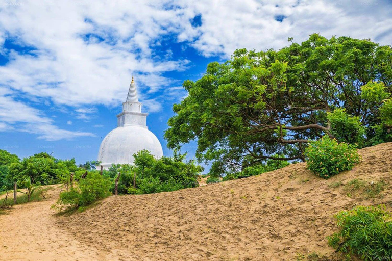 Ella To Arugam Bay Transfer with Temples & Waterfalls & More