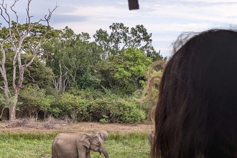 From Arugambay : Yala National Park Safari & Dropoff in Ella