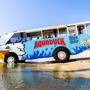 Gold Coast: 1-Hour Land and Water Duck Tour