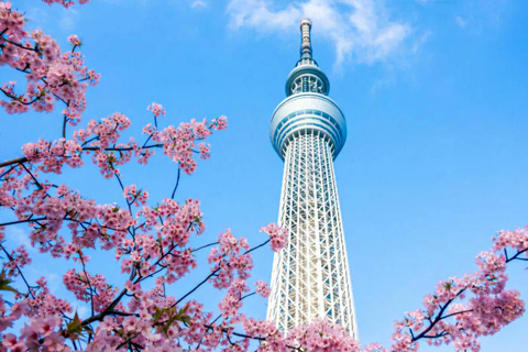 Tokyo: Private Night Tour with Daikoku PA & Skytree Views