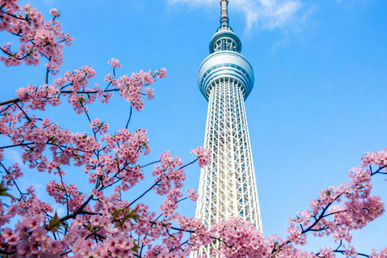 Tokyo: Private Night Tour with Daikoku PA & Skytree Views