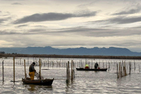Albufera de Valencia: Mediterranean Forest and Sailing on the Albujaira