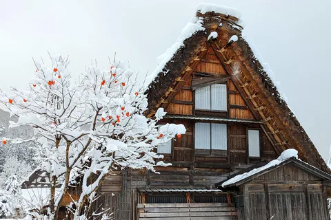 De Takayama: viagem diurna guiada a Takayama e Shirakawa-go