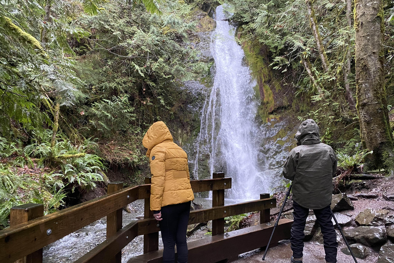 Olympic National Park: Half-Day Tour