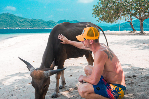 5 Geheime Gili Boottocht &amp; Snorkelen in Zuidwest Lombok