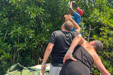 2h Bentota River Safari: Crocs, Monkeys, Mangrove & more