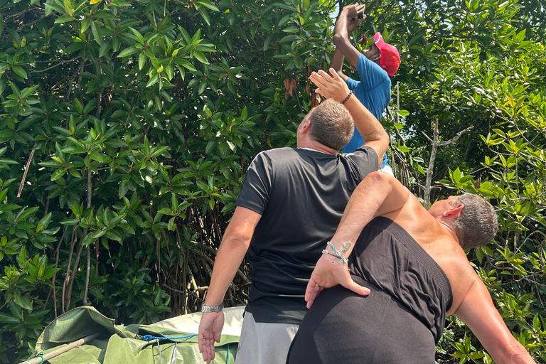 2h Bentota River Safari: Crocs, Monkeys, Mangrove & more