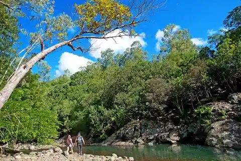 Mauritius nationalpark: Upptäck ön som den en gång var